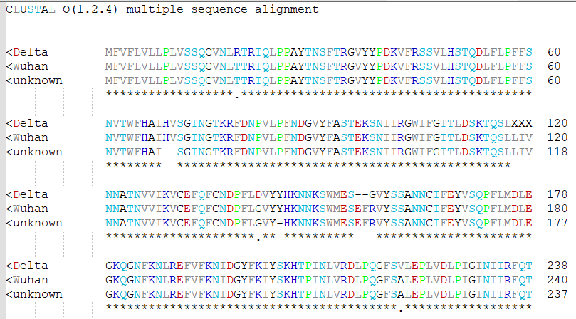protein_lexer_after.PNG